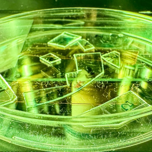 Oamenii de știință au creat un film din plastic care rupe fizic virusurile