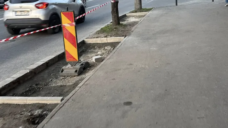 Locuitorii din Cluj-Napoca îngrijorați de degradarea spațiului verde de pe Bulevardul Titulescu