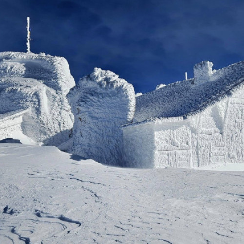 Viața zilnică a meteorologilor de pe Vârful Omu include animale fascinante