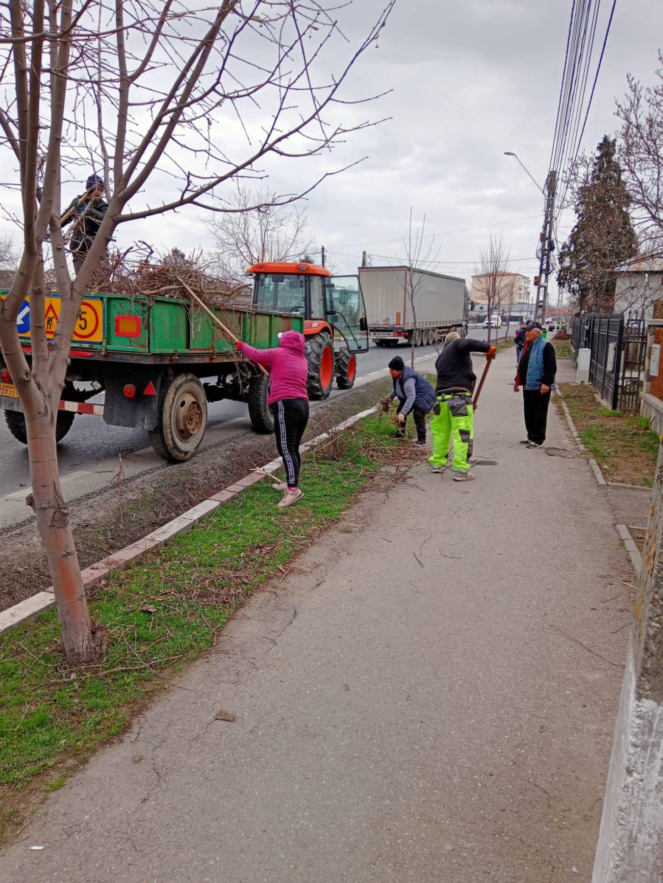 Activitatea de ridicare a resturilor vegetale din Găești va fi sistată temporar