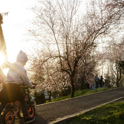 Temperaturi de vară și vânt puternic în toată țara