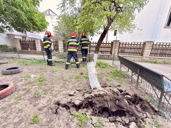 Pompierii intervin în Botoșani din cauza vântului puternic