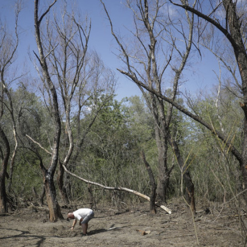 Fragmente de dronă descoperite în județul Tulcea, cazul preluat de autorități