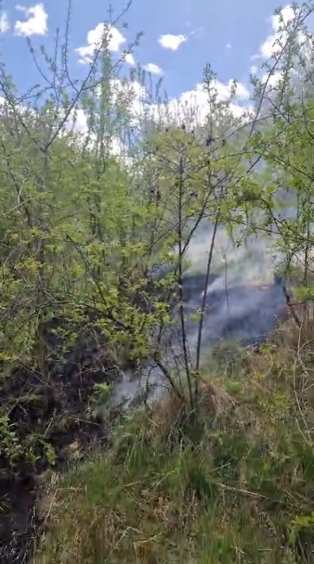 Intervenție pe Muntele Pietricica pentru stingerea unui incendiu