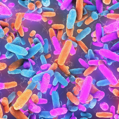 Bacteriile intestinale ar putea fi un factor ascuns pentru bolile neurodegenerative