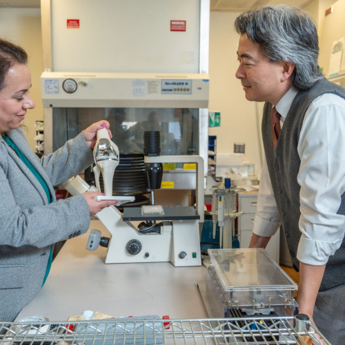 „În cele din urmă, devine parte din tine”: Inventatorii noului înlocuitor de genunchi „viu” explică de ce această tehnologie este extrem de necesară și cum funcționează