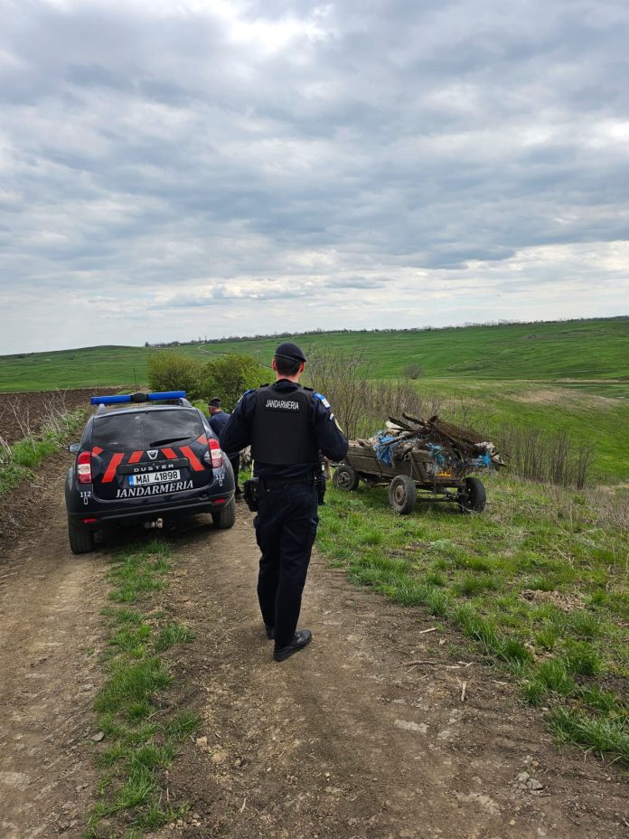 Un bărbat sancționat pentru aruncarea deșeurilor în Vorniceni