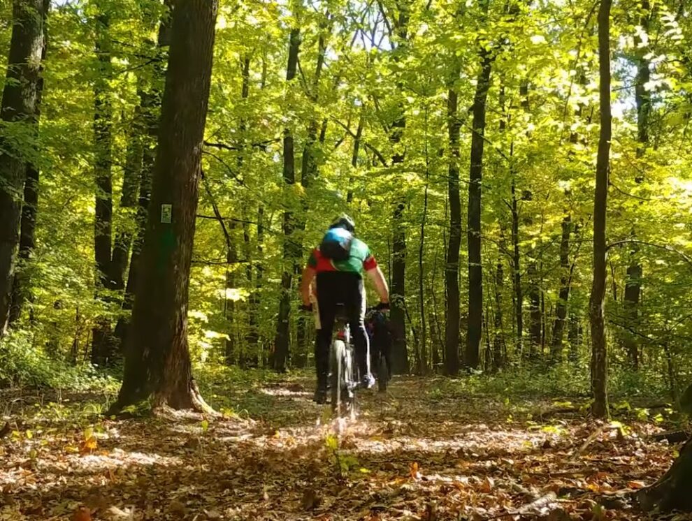 Bistrița va dezvolta un traseu cicloturistic în pădurile din jurul orașului