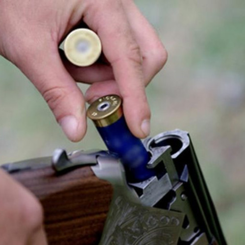 Tânăr reținut pentru violență în familie și uz de armă fără drept