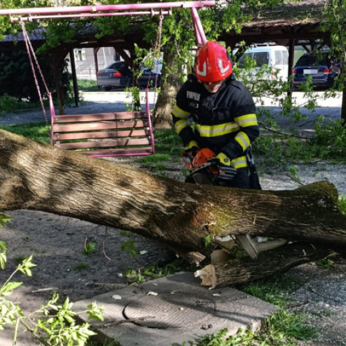 Pompierii intervin pentru a îndepărta arbori și stâlpi prăbușiți din cauza vântului