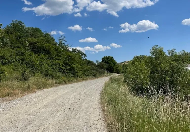 Strada Viilor din Pata va fi modernizată prin fonduri europene