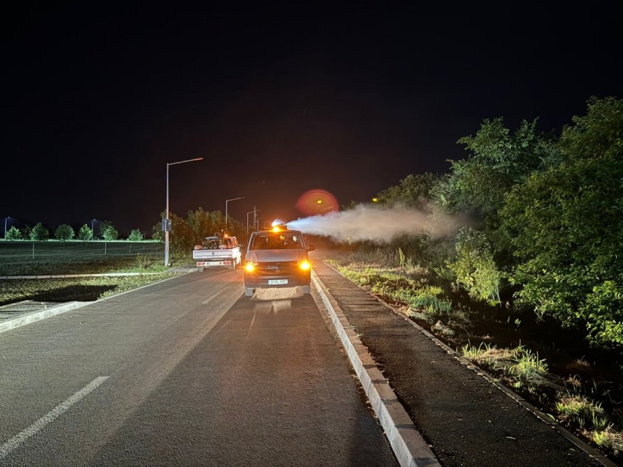 Primăria demarează acțiuni de dezinsecție în municipiu până pe 30 aprilie
