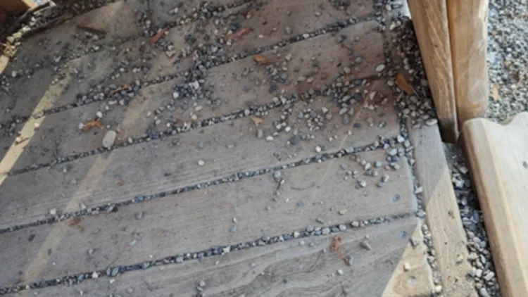 Părinți din Cluj-Napoca protestează din cauza condițiilor dintr-un parc pentru copii