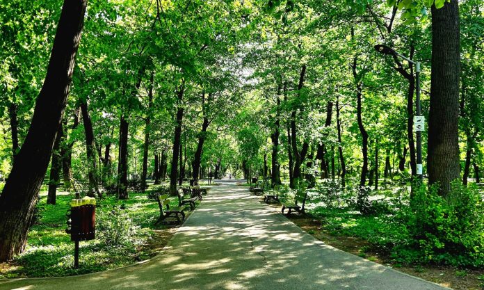 Consultare publică pentru reamenajarea Parcului Kiseleff