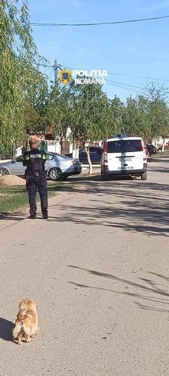 Acțiune de amploare a poliției în Chișineu-Criș pentru siguranța publică