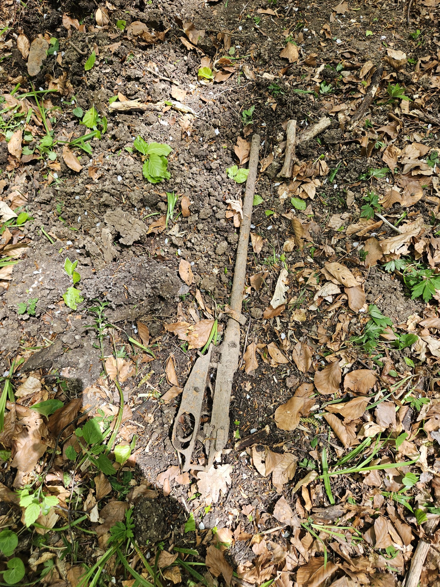 Nemțenii descoperă arme din Al Doilea Război Mondial cu detectoare de metale