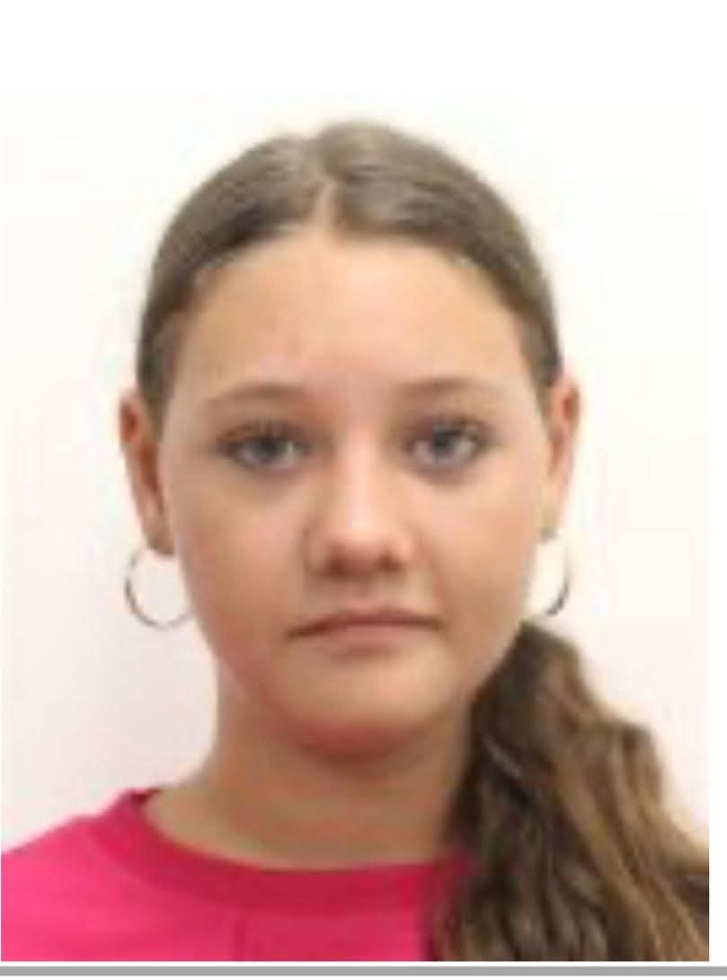 Căutări intense după dispariția unei adolescente din Deva