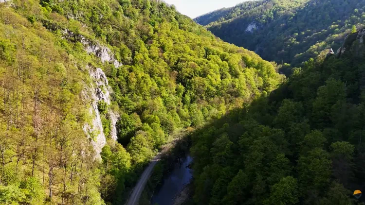 Proiect feroviar important din vestul țării avansează după autorizație