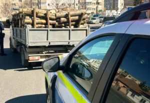 Poliția descoperă camion cu lemne furate pe DN 73, în Brașov