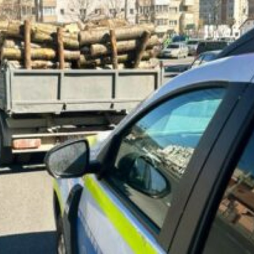 Camion plin cu lemne furate găsit pe DN 73, în judeţul Braşov (VIDEO)