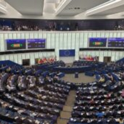 Parlamentul European a votat pentru ridicarea imunității pentru Diana Șoșoacă (VIDEO)