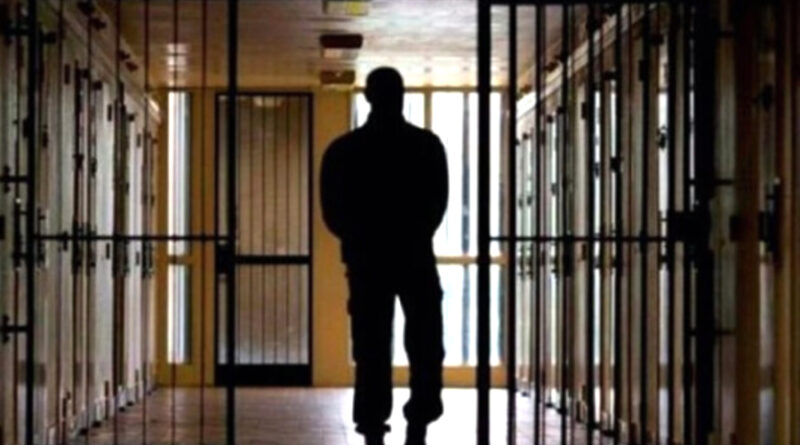 Medicul veterinar din Orăștie condamnat pentru agresiuni asupra vecinului