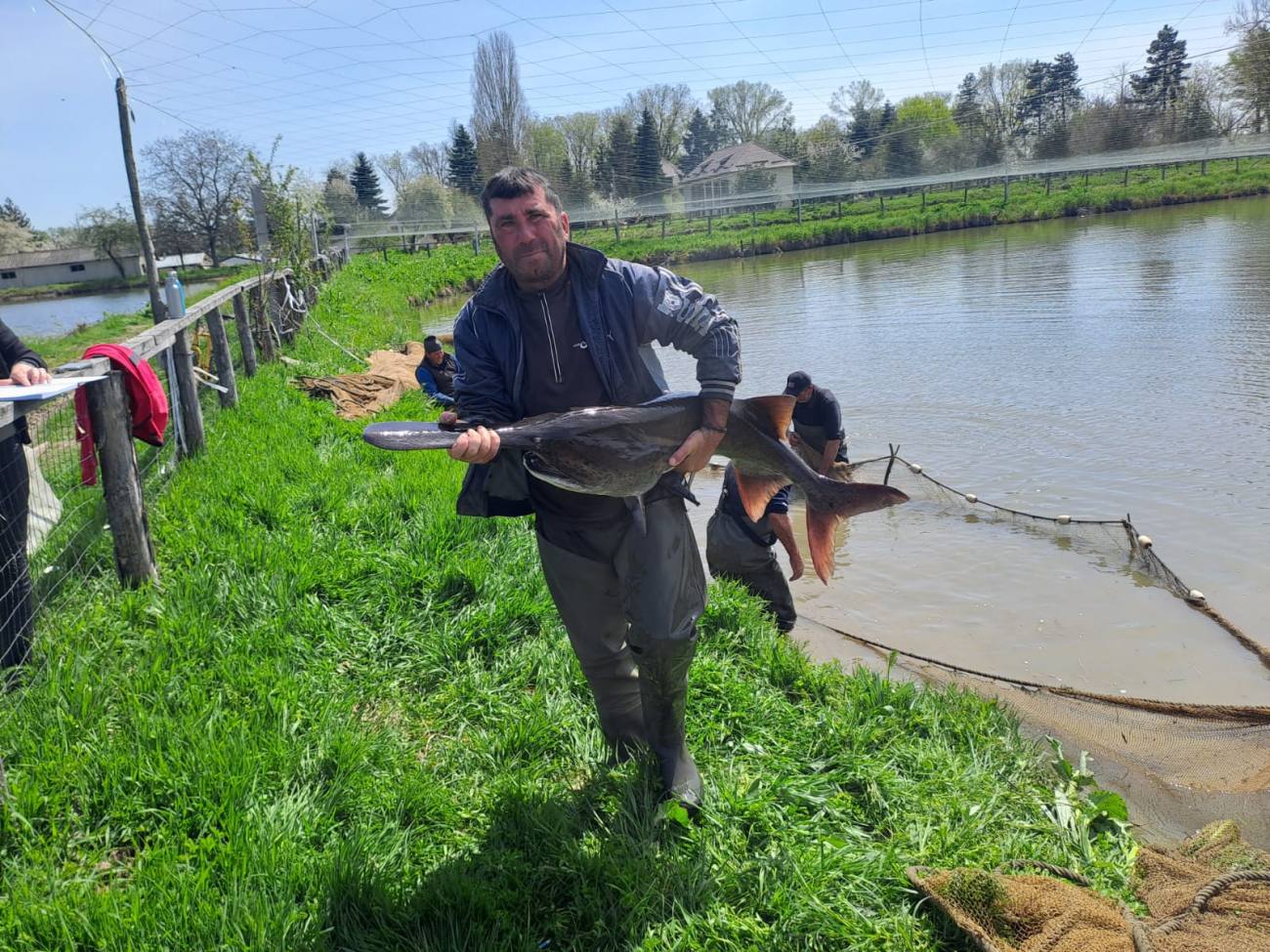 Stațiunea Nucet anunță începutul unui sezon promițător în acvacultură