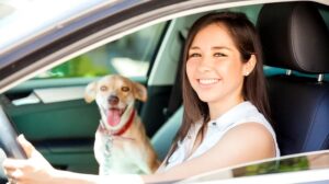 Parlamentul European stabilește standarde pentru bunăstarea pisicilor și câinilor