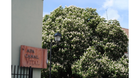 VITAL S.A. anunță modificări în programul de lucru de 1 Mai