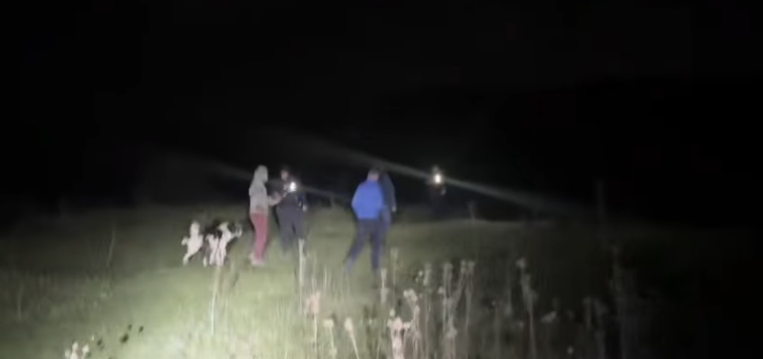 Incident terifiant cu un urs în județul Bacău