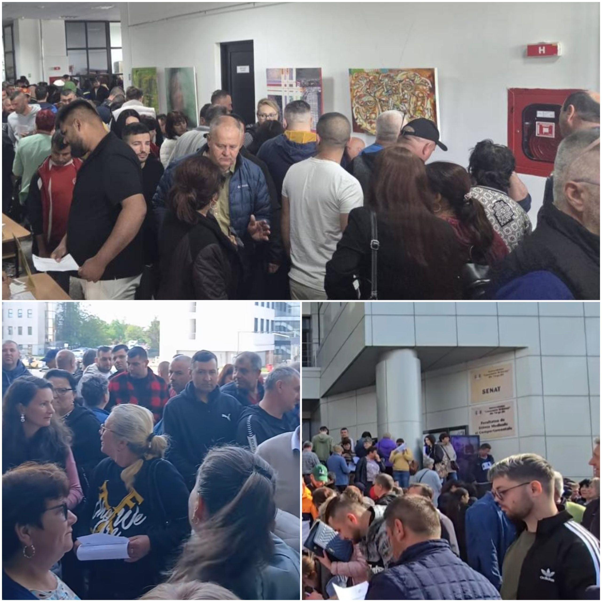 Activitate de succes la Bursa Locurilor de Muncă din Târgu Jiu