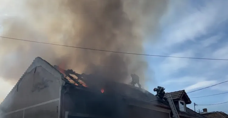Incendiu devastator pe Strada Zizinului din Cluj-Napoca