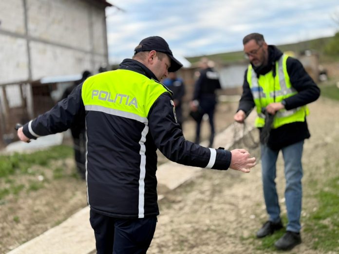 Trei bărbați din Bălușeni arestați pentru braconaj și deținerea de unelte ilegale