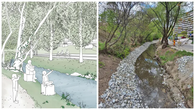 Critici dure la adresa lucrărilor de amenajare a Canalului Morii din Cluj-Napoca