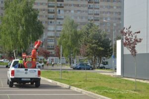 Tratamentele fitosanitare din Brașov reprogramate pentru 4-8 mai 2026