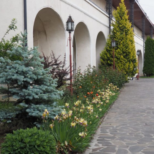 Muzeul Județean de Istorie și Arheologie Maramureș anunță program special de 1 Mai