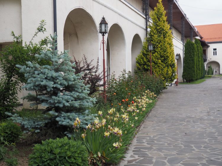 Muzeul Județean de Istorie și Arheologie Maramureș anunță program special de 1 Mai