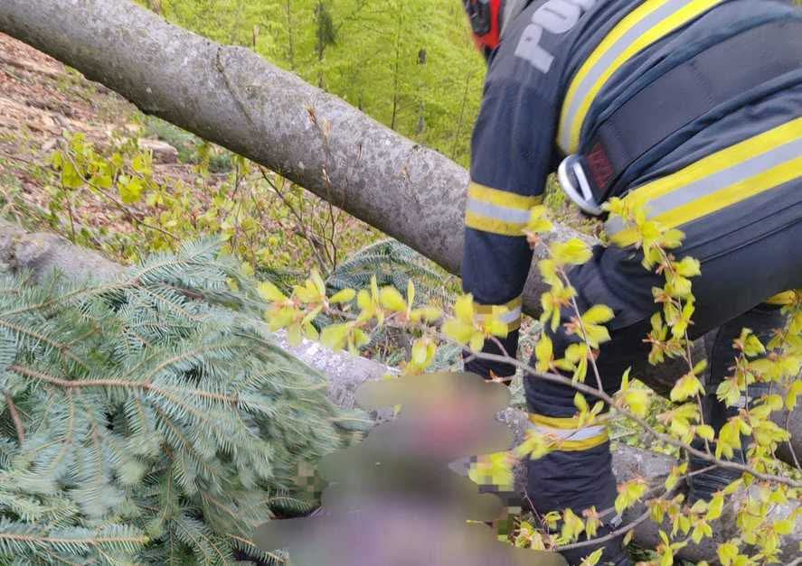 Trei echipaje au intervenit după un accident tragic în Neamț