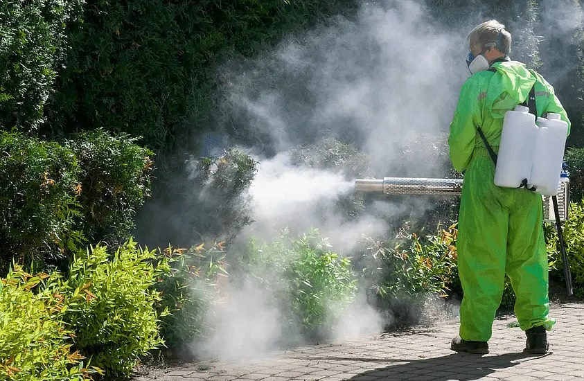 Dezinsecție pe Faleza Dunării în 1 mai: Atenție, apicultori!