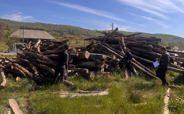 Controale în pădurile din Cluj: lemn confiscat și amenzi aplicate