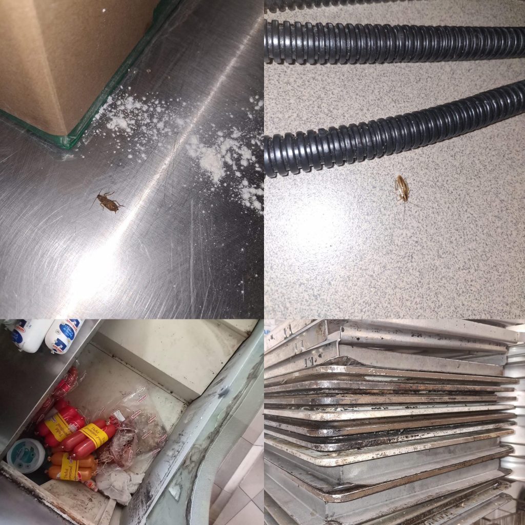 Controale masive ale ANPC dezvăluie nereguli alarmante în alimentație