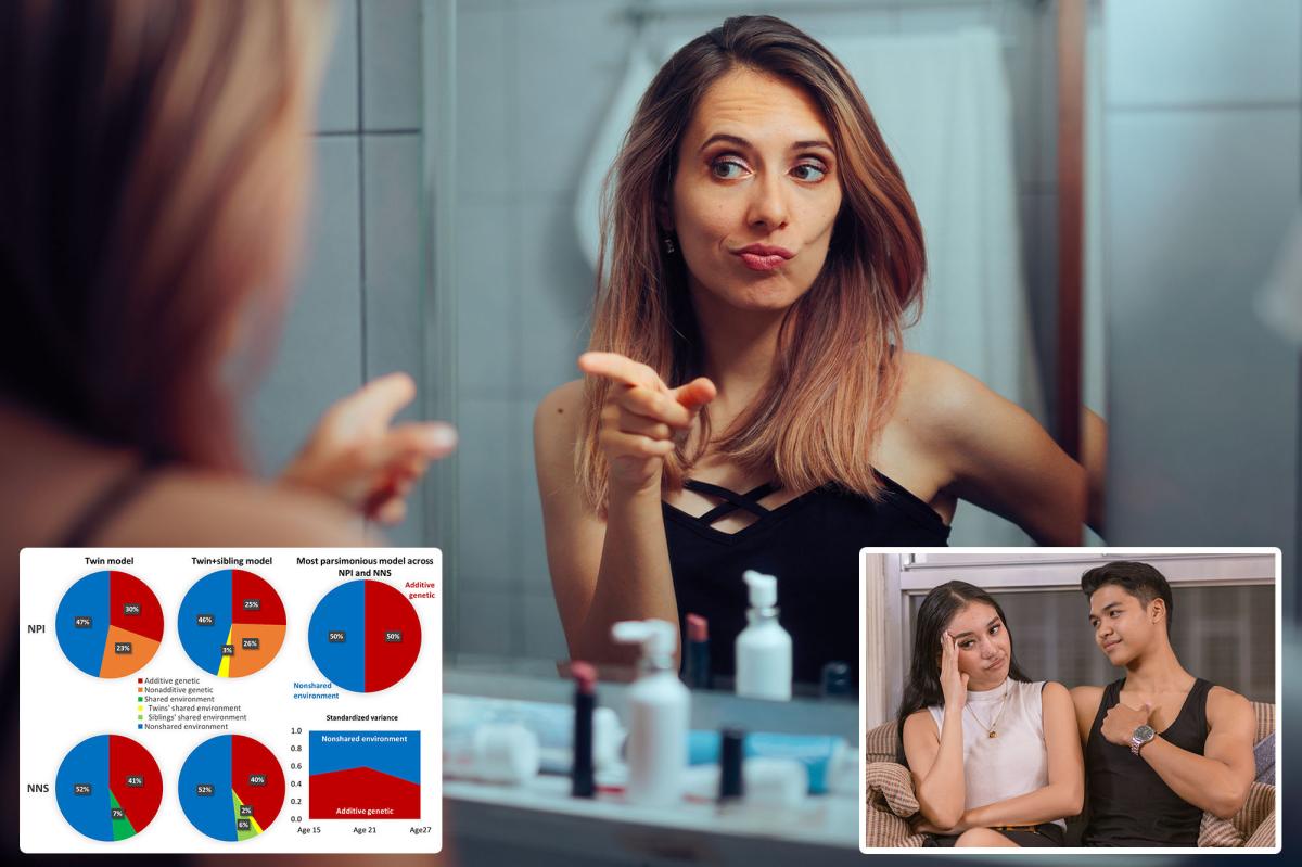 Illuminating research reveals the surprising way people become narcissists — and whether it’s reversible - New York Post