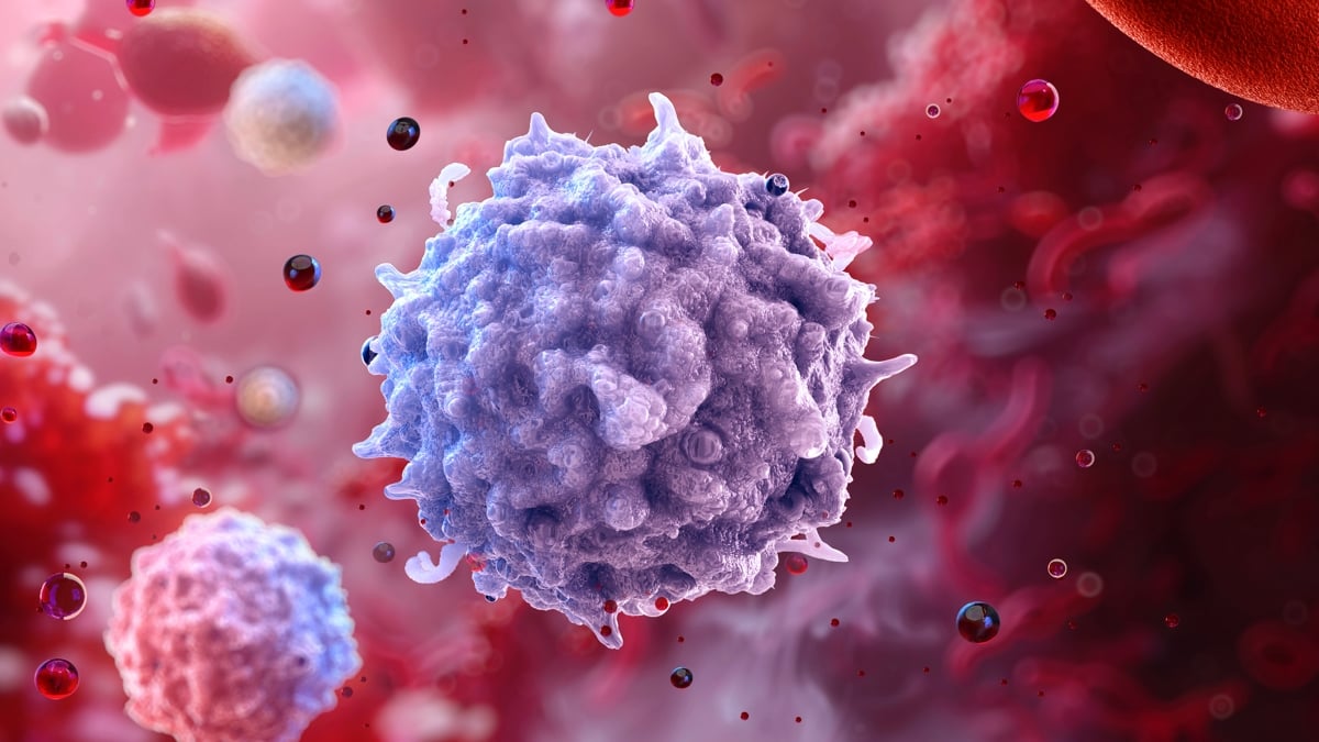 Immune Cells 'Remember' Obesity Long After Weight Loss, Study Finds - ScienceAlert