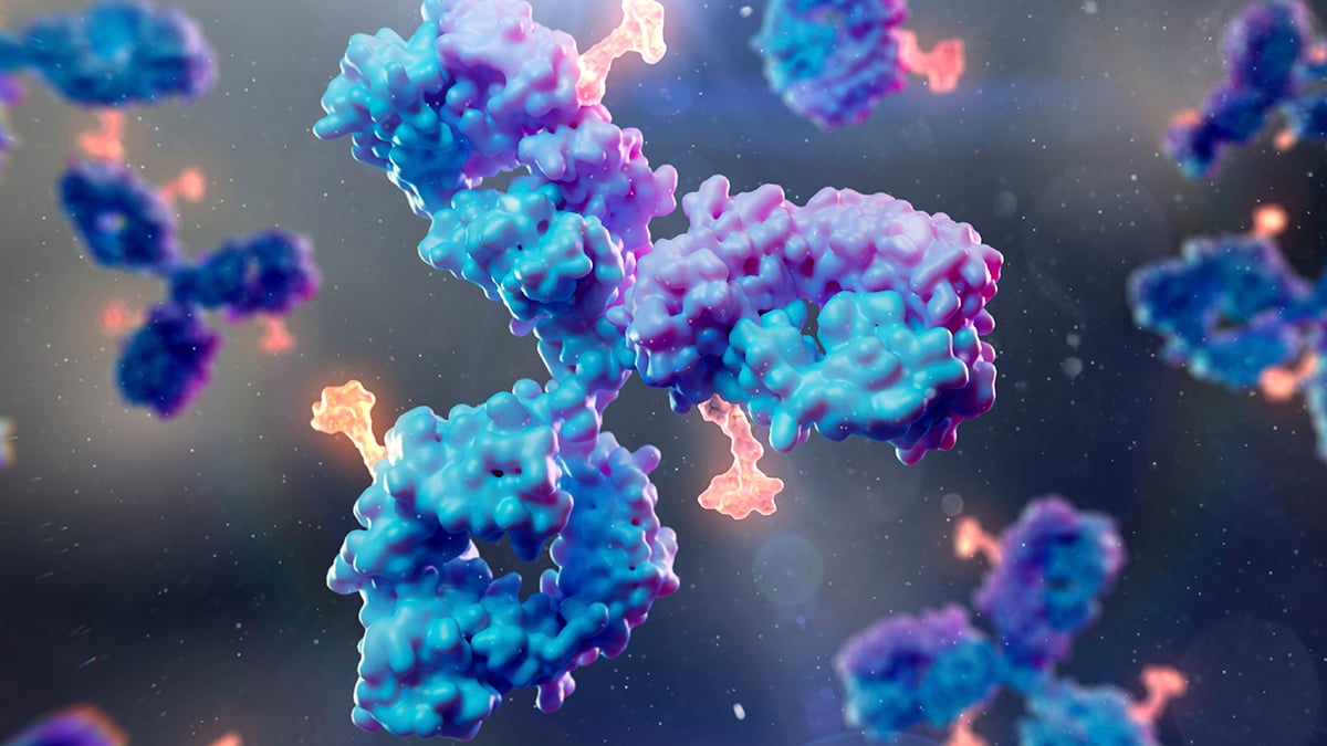 Scientists Develop New Antibody For Virus That Infects 95% of People - ScienceAlert