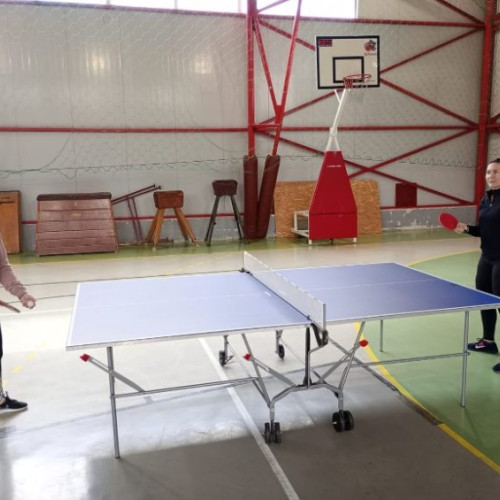 Polițiști din Maramureș s-au întrecut într-un concurs de tenis în Baia Sprie