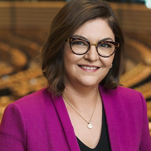 Adina Vălean, comisarul european pentru transporturi, vizitează județul Satu Mare la invitația deputatului Adrian Cozma