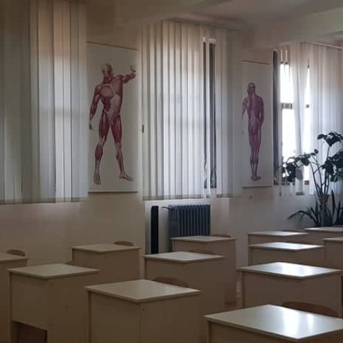 Rezultate Olimpiada Biologie, Etapa Județeană Alba 2024: Lista Elevilor Câștigători și Ceferinți către Etapa Națională