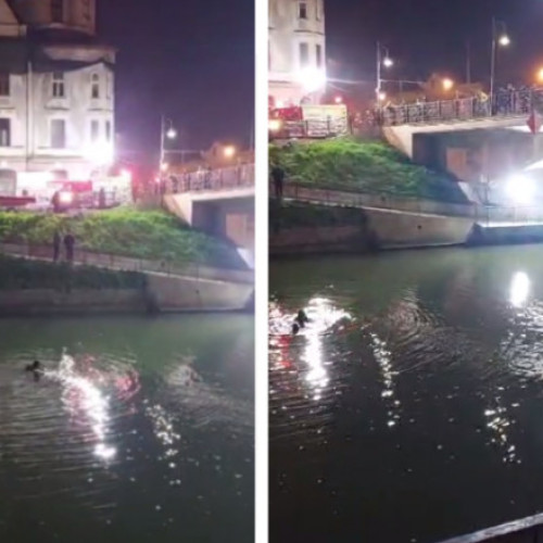 Pompierii caută o persoană în râul Bega, unde s-au găsit o geantă și doi câini.