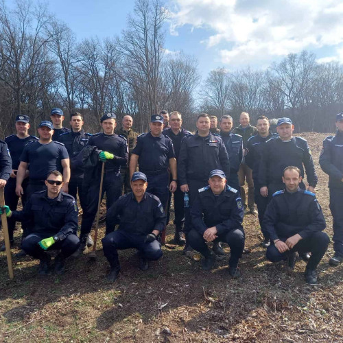 Jandarmii din Alba plantează copaci de Ziua internațională a Pădurii în Ciugudul de Jos