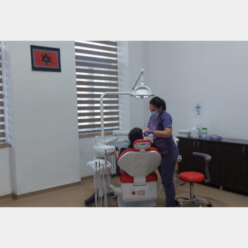 Patru cabinete stomatologice gratuite funcționale pentru elevi, inițiate de DASO în Oradea